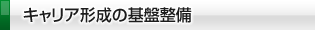 キャリア形成の基盤整備