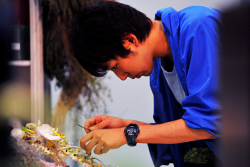 第43回大会　フラワー装飾