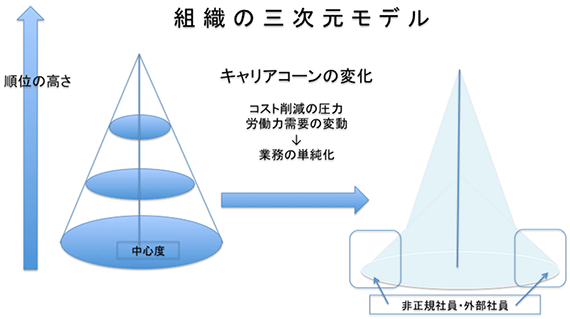 組織の三次元モデル